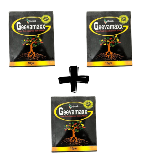GEEVA MAXX (2+1)